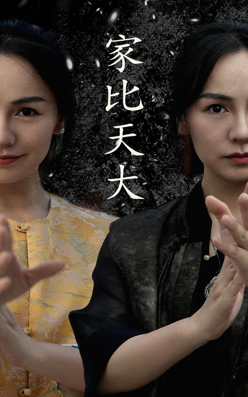 家比天大短剧第53集