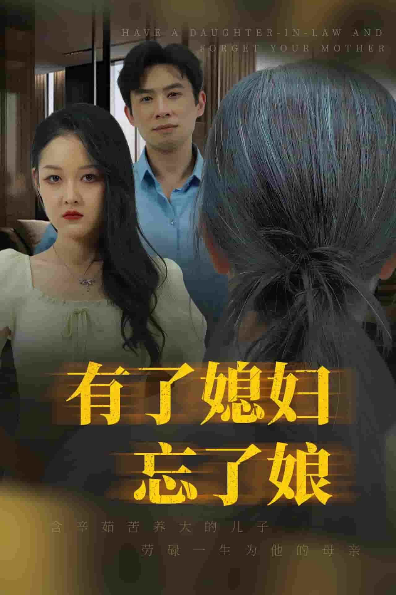 有了媳妇忘了娘第33集