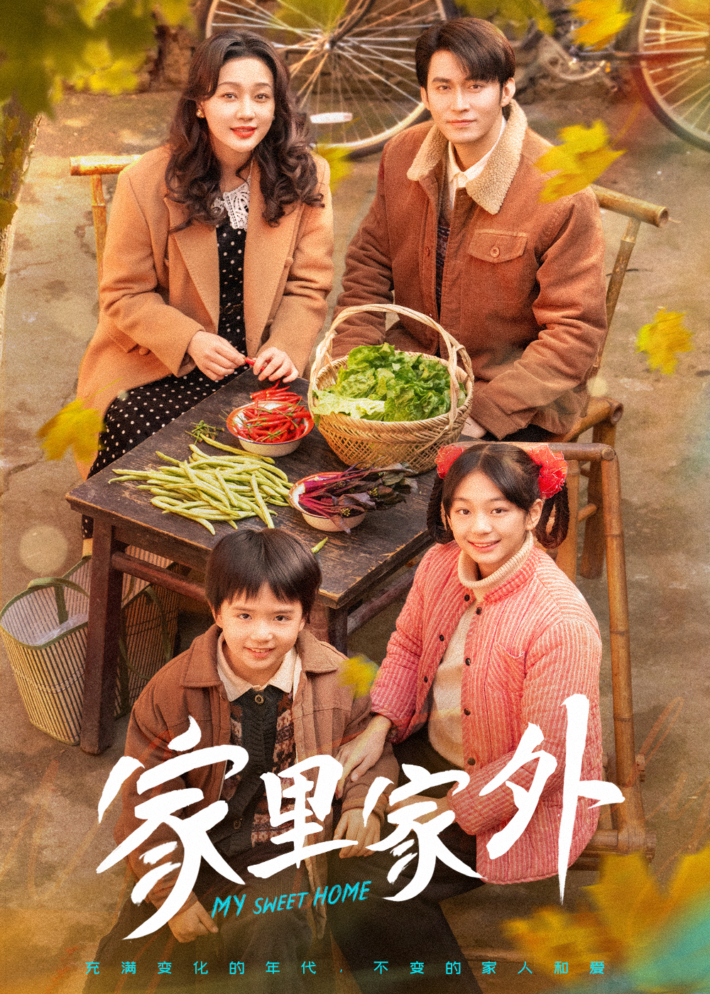 家里家外 短剧版第4集